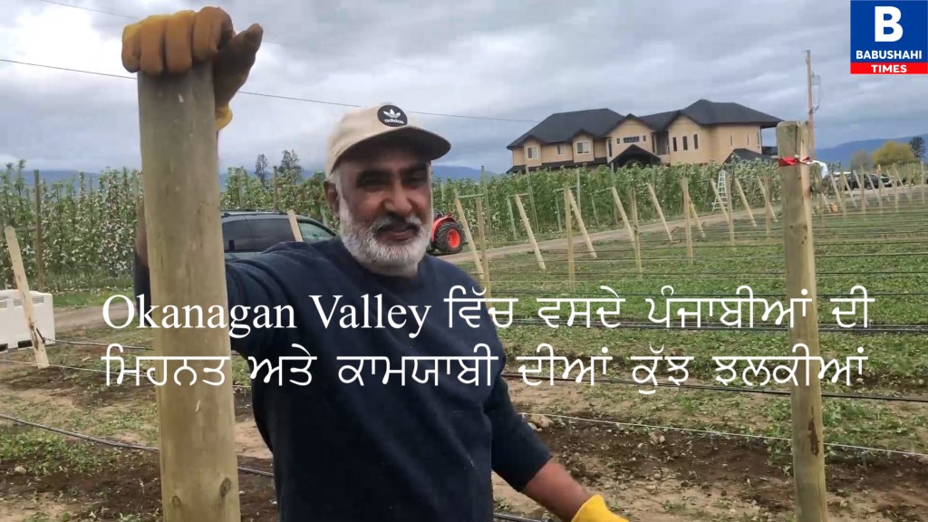An Okanagan Valley Farmer